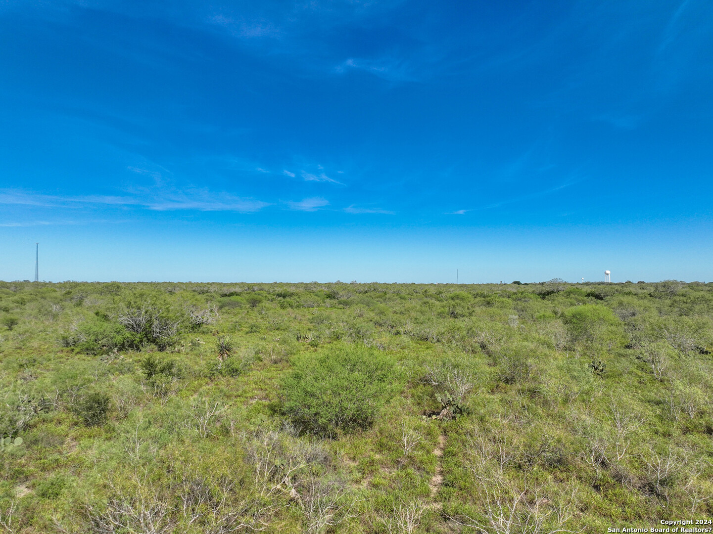 0 Fm 2295 Benavides, TX 78341 - Photo 7 of 20