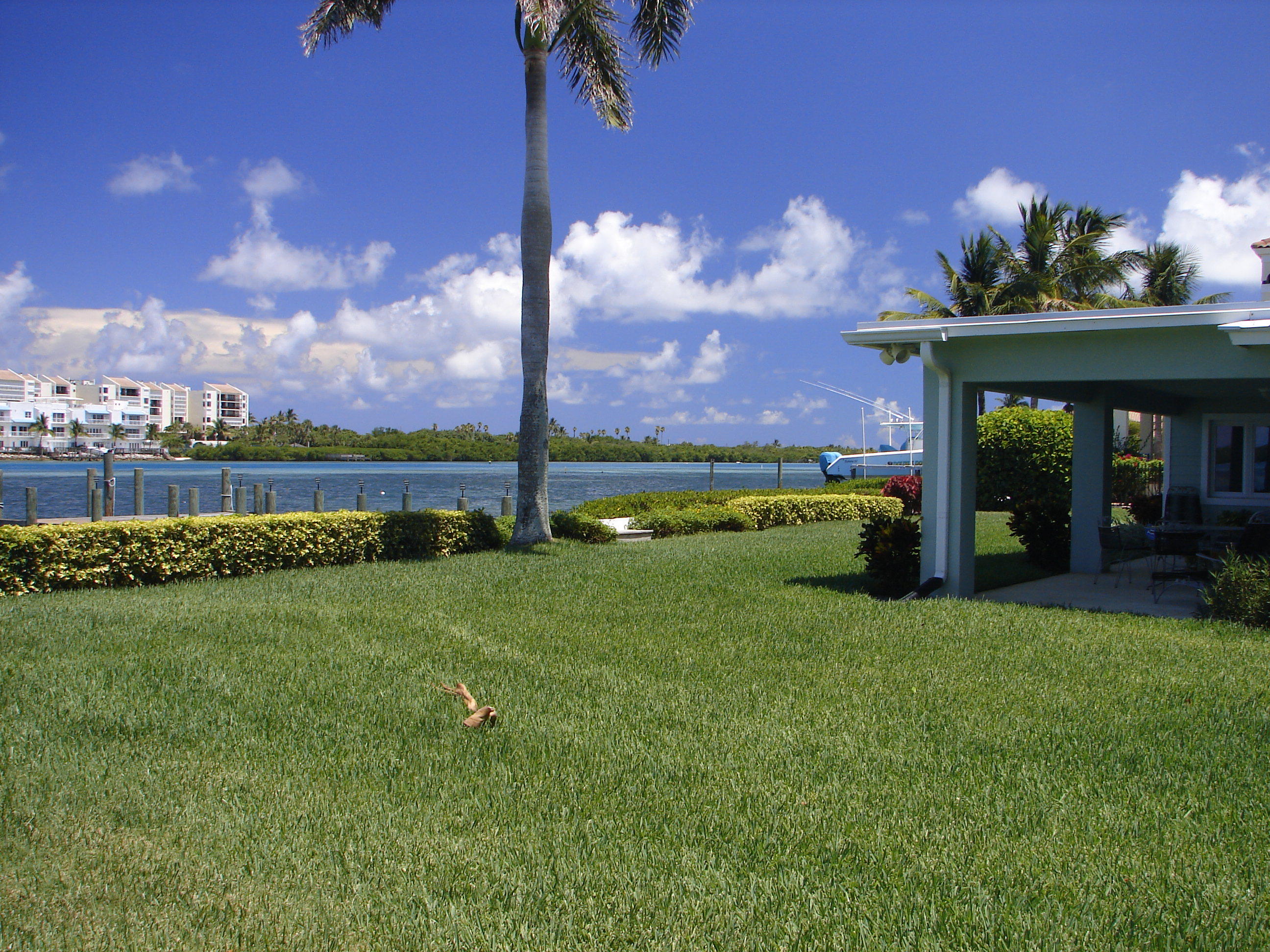 19732 Harbor Road North Jupiter, FL 33469 - Photo 13 of 17 DSC07609