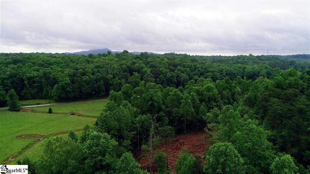 40 McCarrell Road Travelers Rest, SC 29690 - Photo 11 of 11