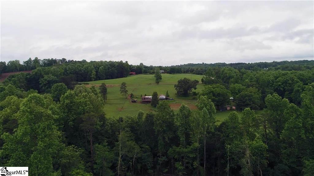 40 McCarrell Road Travelers Rest, SC 29690 - Photo 4 of 11