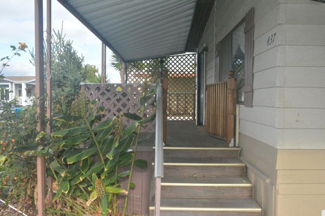 a view of path along with potted plants