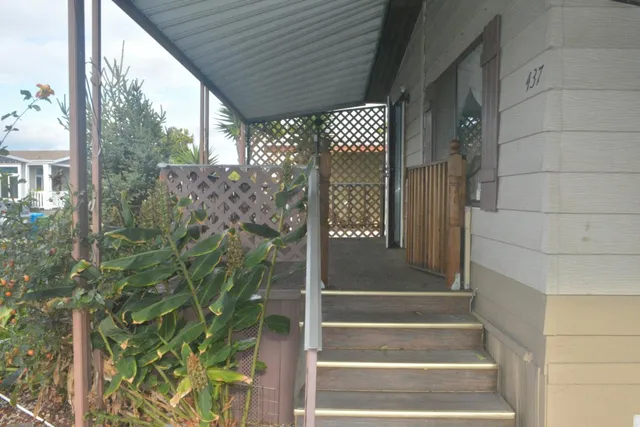 a view of path along with potted plants
