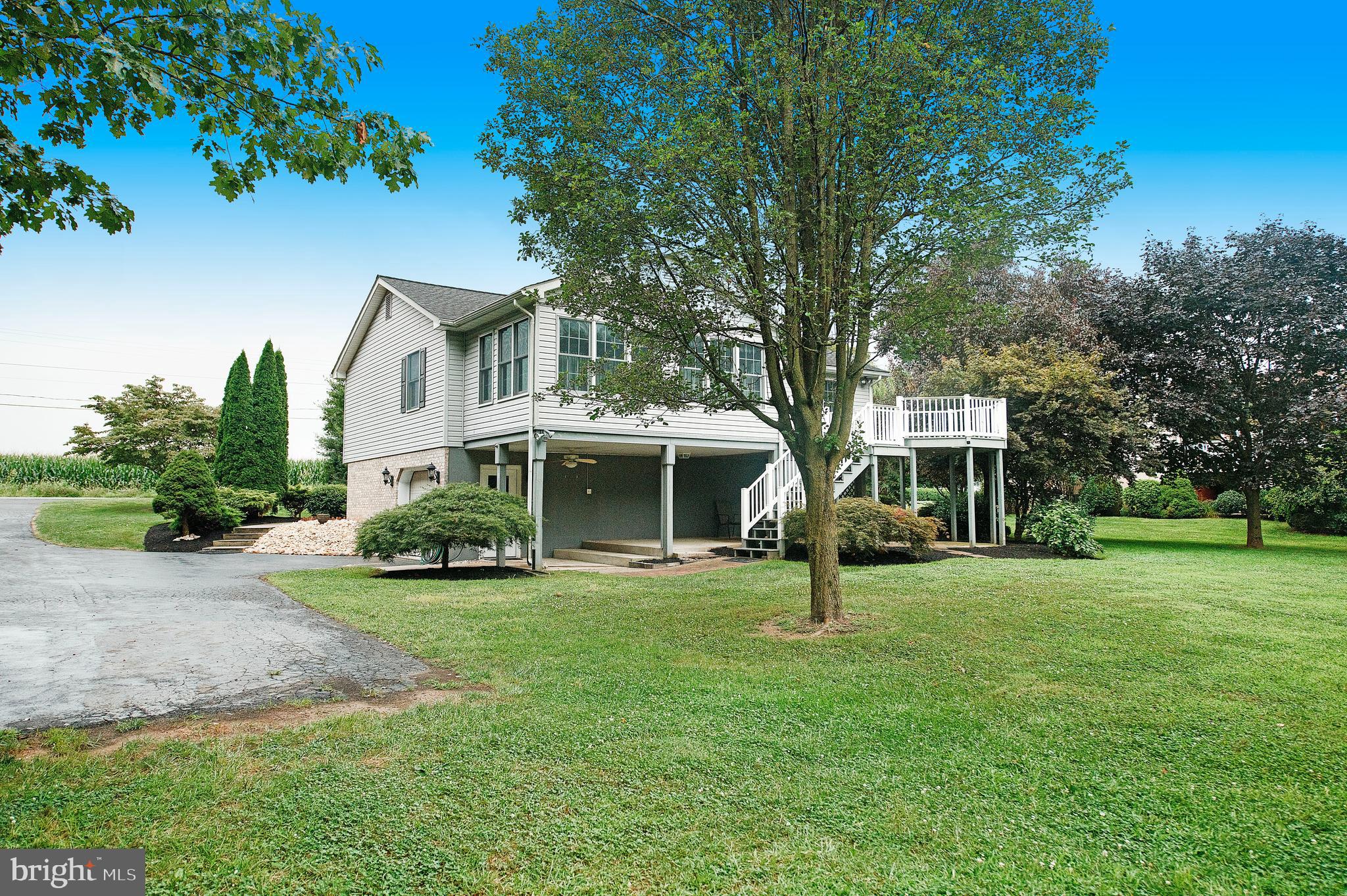 2159 Liberty Grove Road Colora, MD 21917 - Photo 40 of 44 View from the back yard!