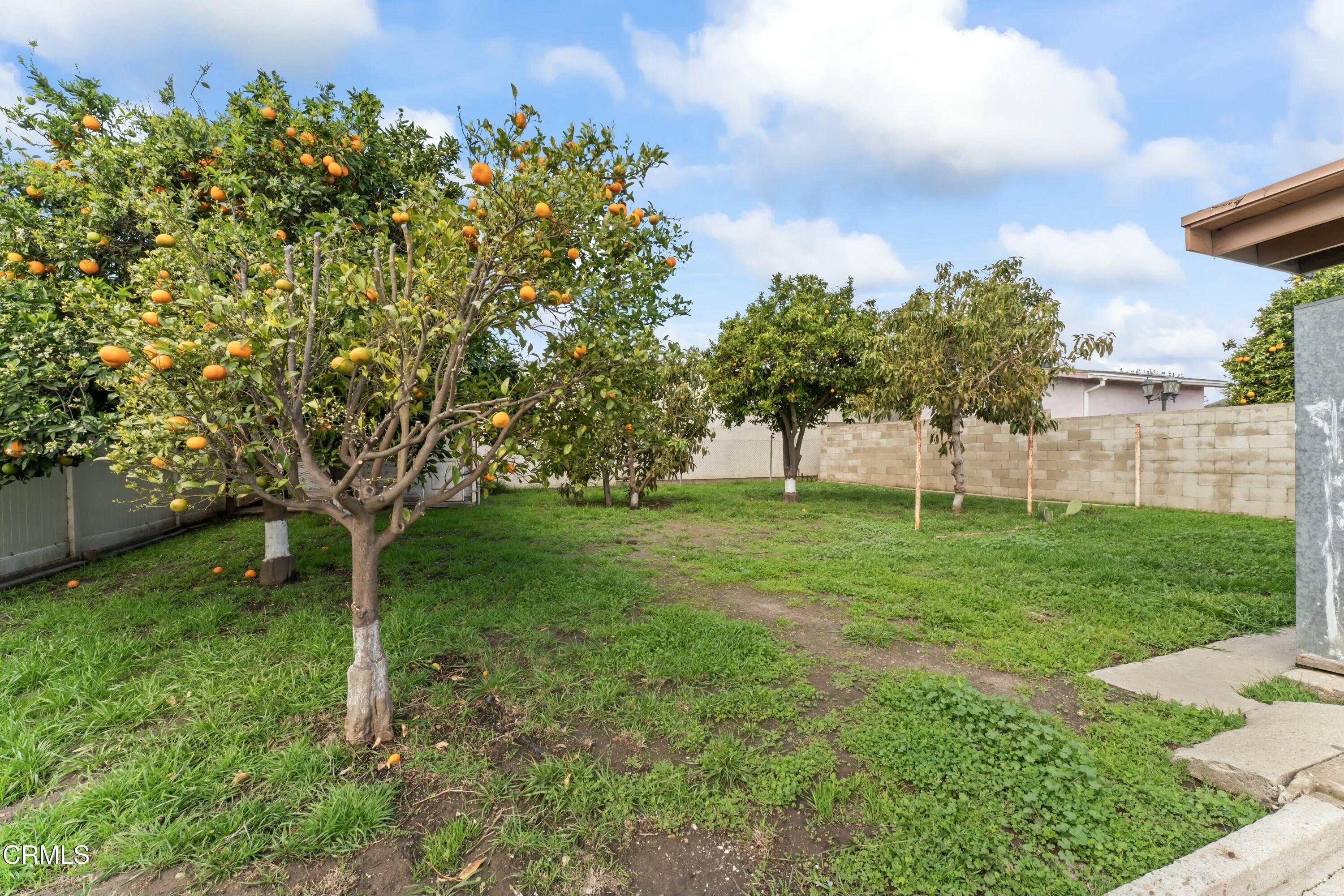 269 Sheppard Road Santa Paula, CA 93060 - Photo 17 of 32 tempImage4rxltS