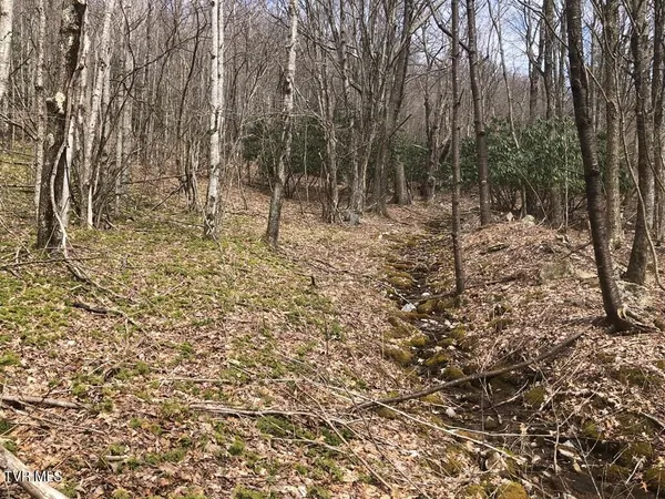 $119,000 | 0 Helton Creek Lane, Whitetop, VA 24292