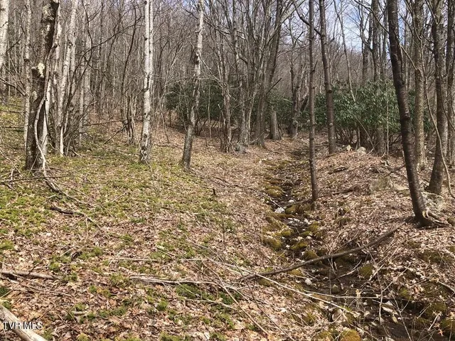 $119,000 | 0 Helton Creek Lane, Whitetop, VA 24292