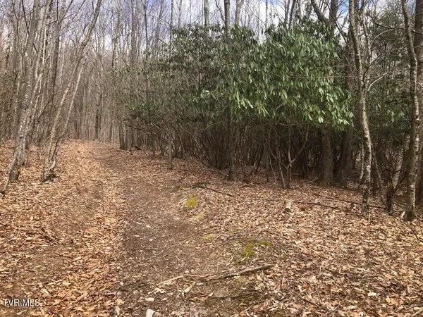 $119,000 | 0 Helton Creek Lane, Whitetop, VA 24292