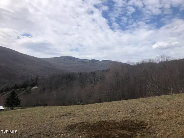 $119,000 | 0 Helton Creek Lane, Whitetop, VA 24292