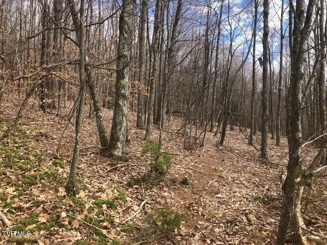 $119,000 | 0 Helton Creek Lane, Whitetop, VA 24292