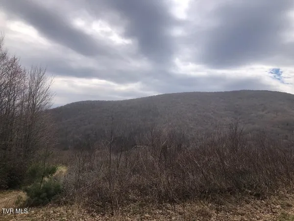 $119,000 | 0 Helton Creek Lane, Whitetop, VA 24292