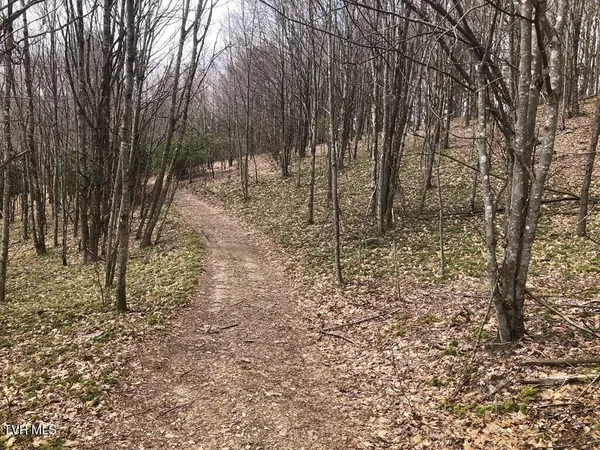 $119,000 | 0 Helton Creek Lane, Whitetop, VA 24292