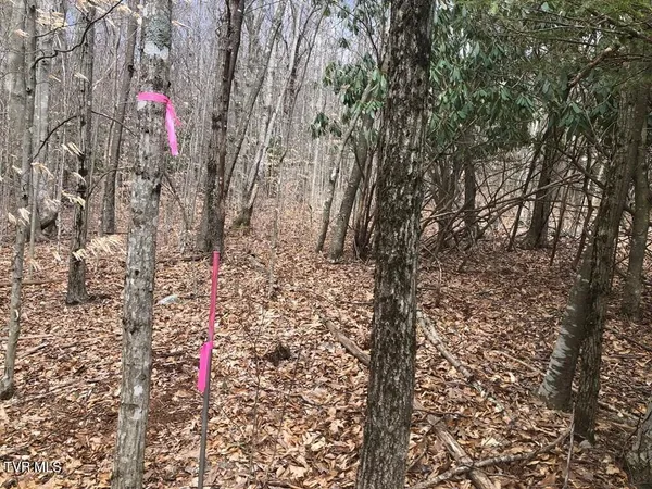 $119,000 | 0 Helton Creek Lane, Whitetop, VA 24292