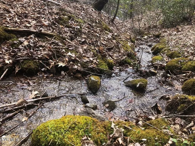 $119,000 | 0 Helton Creek Lane, Whitetop, VA 24292