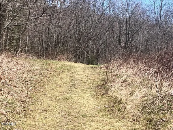 $119,000 | 0 Helton Creek Lane, Whitetop, VA 24292