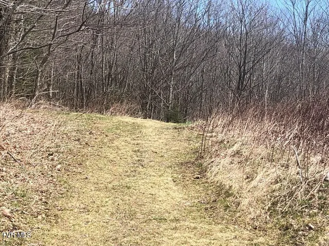 $119,000 | 0 Helton Creek Lane, Whitetop, VA 24292