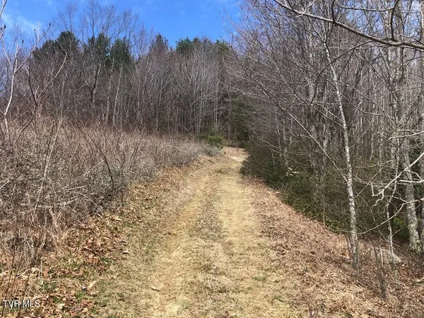 $119,000 | 0 Helton Creek Lane, Whitetop, VA 24292