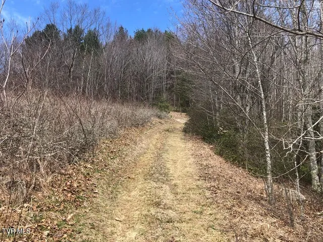 $119,000 | 0 Helton Creek Lane, Whitetop, VA 24292