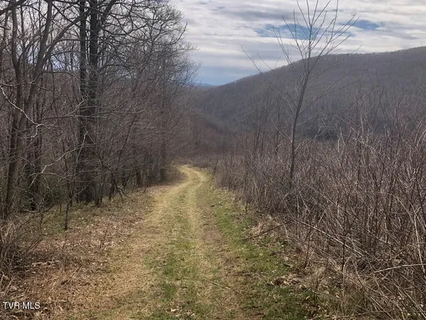$119,000 | 0 Helton Creek Lane, Whitetop, VA 24292