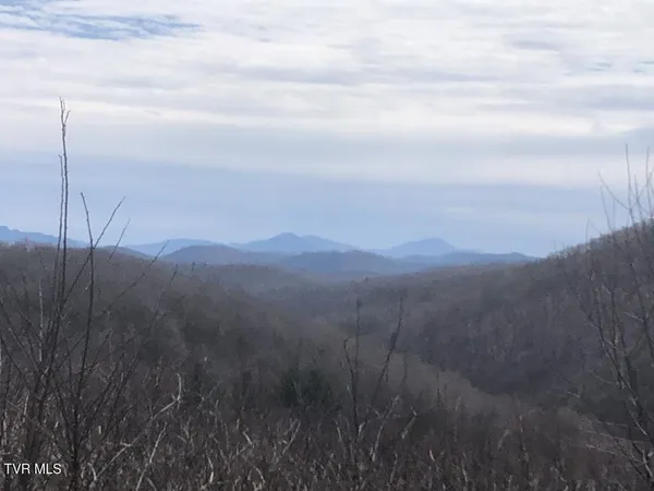 $119,000 | 0 Helton Creek Lane, Whitetop, VA 24292