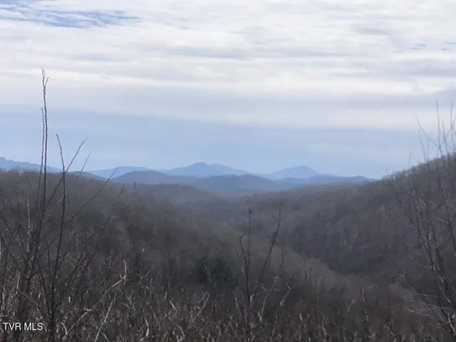 $119,000 | 0 Helton Creek Lane, Whitetop, VA 24292