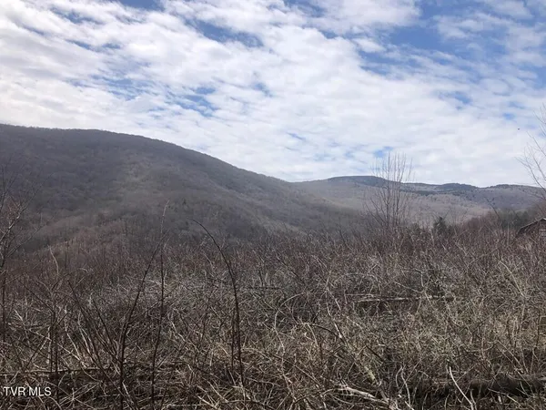 $119,000 | 0 Helton Creek Lane, Whitetop, VA 24292