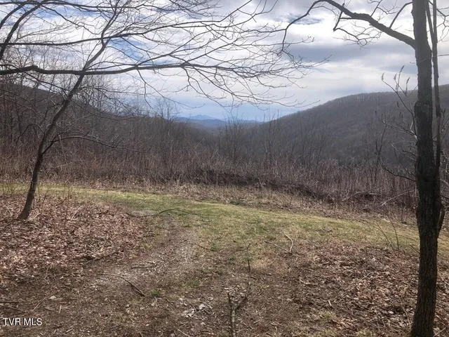 $119,000 | 0 Helton Creek Lane, Whitetop, VA 24292