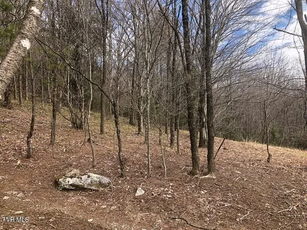 $119,000 | 0 Helton Creek Lane, Whitetop, VA 24292