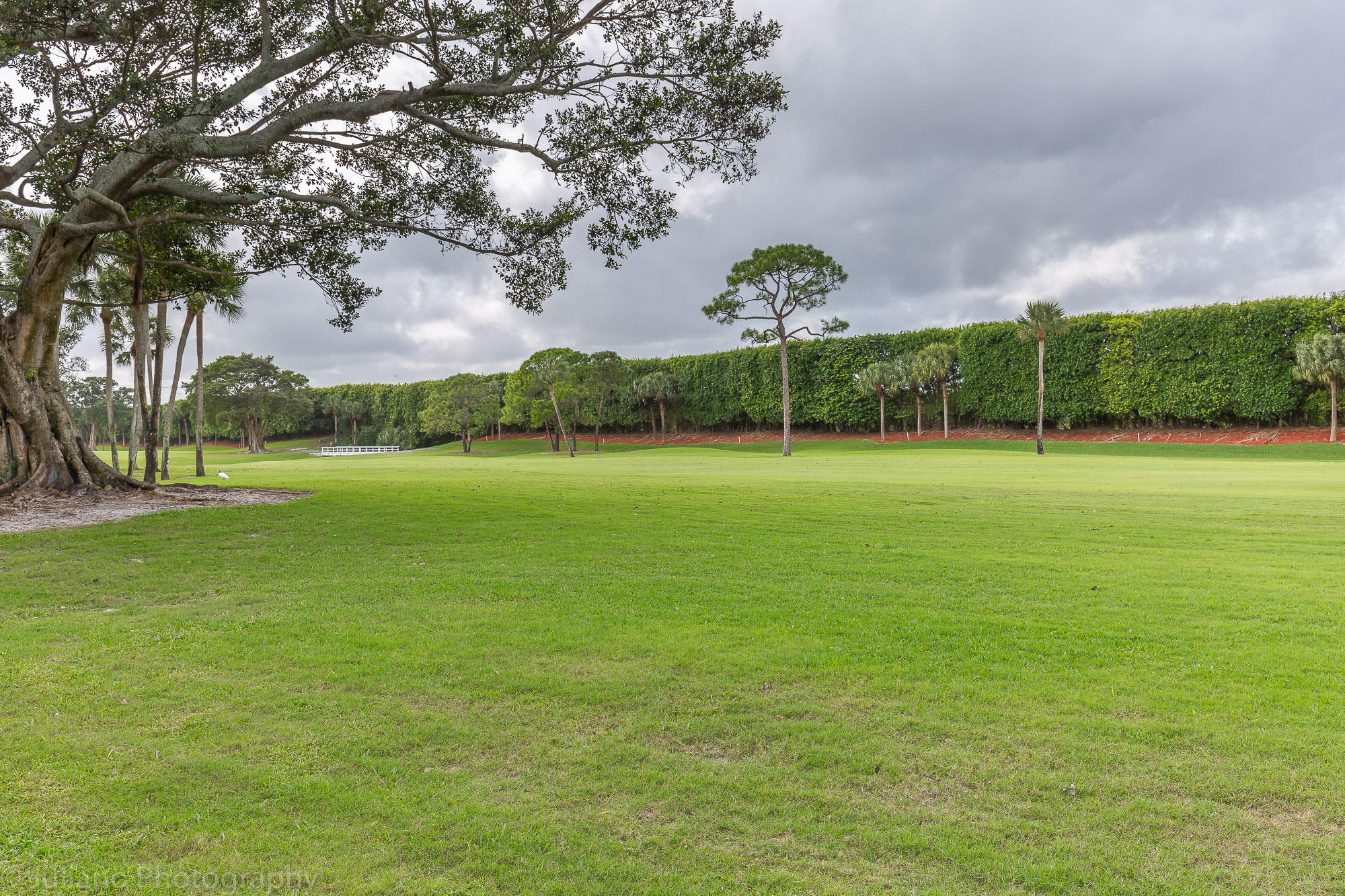 7890 Seville Place, Unit 1401 Boca Raton, FL 33433 - Photo 25 of 27 9K8A6051