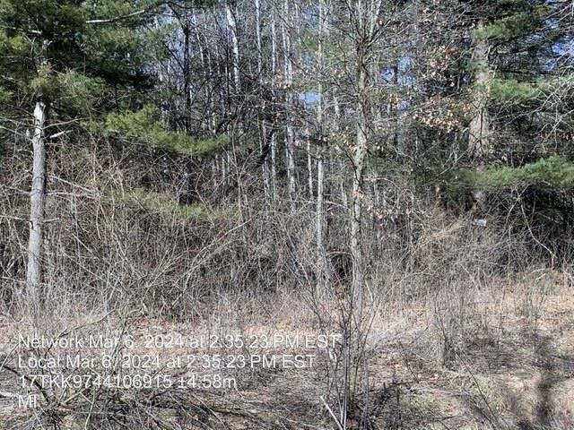 0 East Timreck Road, Unit PARCEL C Tawas City, MI 48763 - Photo 2 of 6