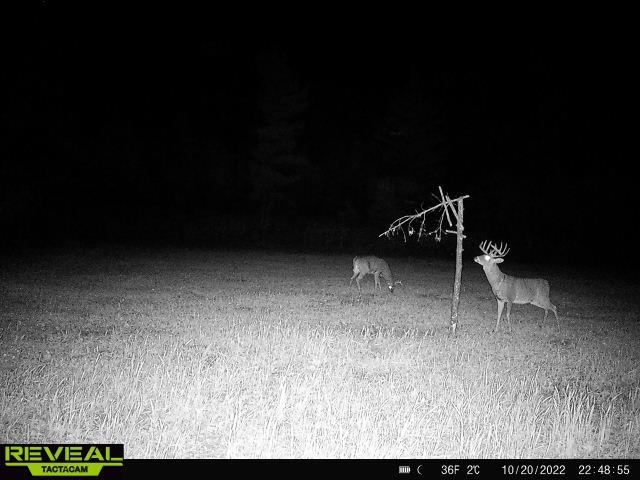 Lot 4 Grayling Tomah, WI 54660 - Photo 32 of 50