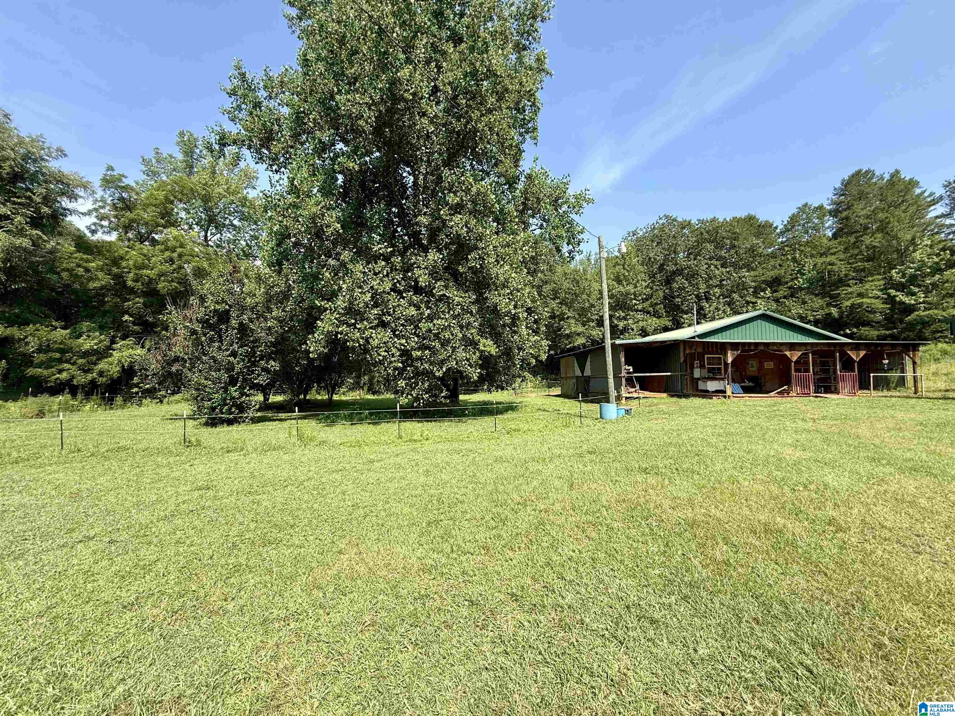 780 Lost Creek Road Delta, AL 36258 - Photo 8 of 50 Gallery Image 8