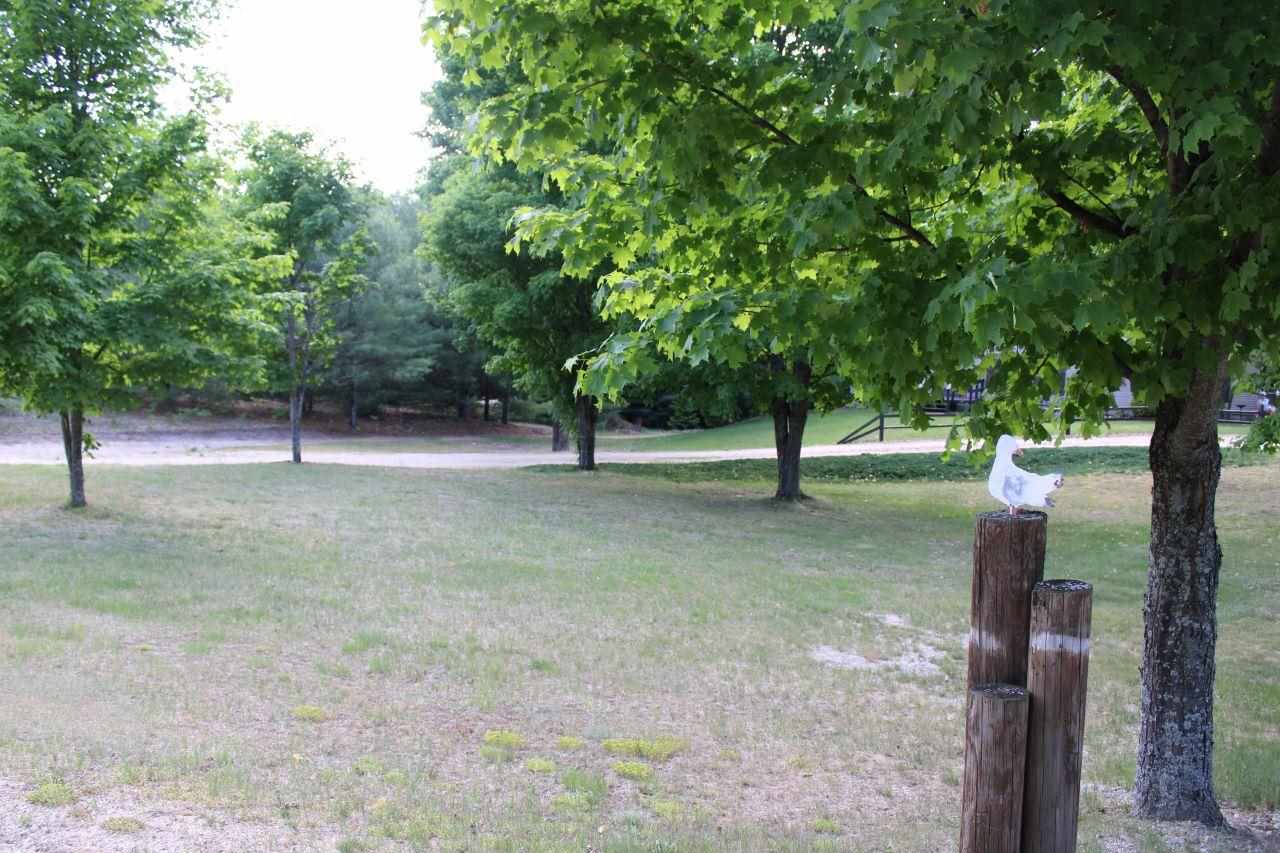 8774 Mockerman Road Southeast Fife Lake, MI 49633 - Photo 11 of 52 1888514-10.JPG