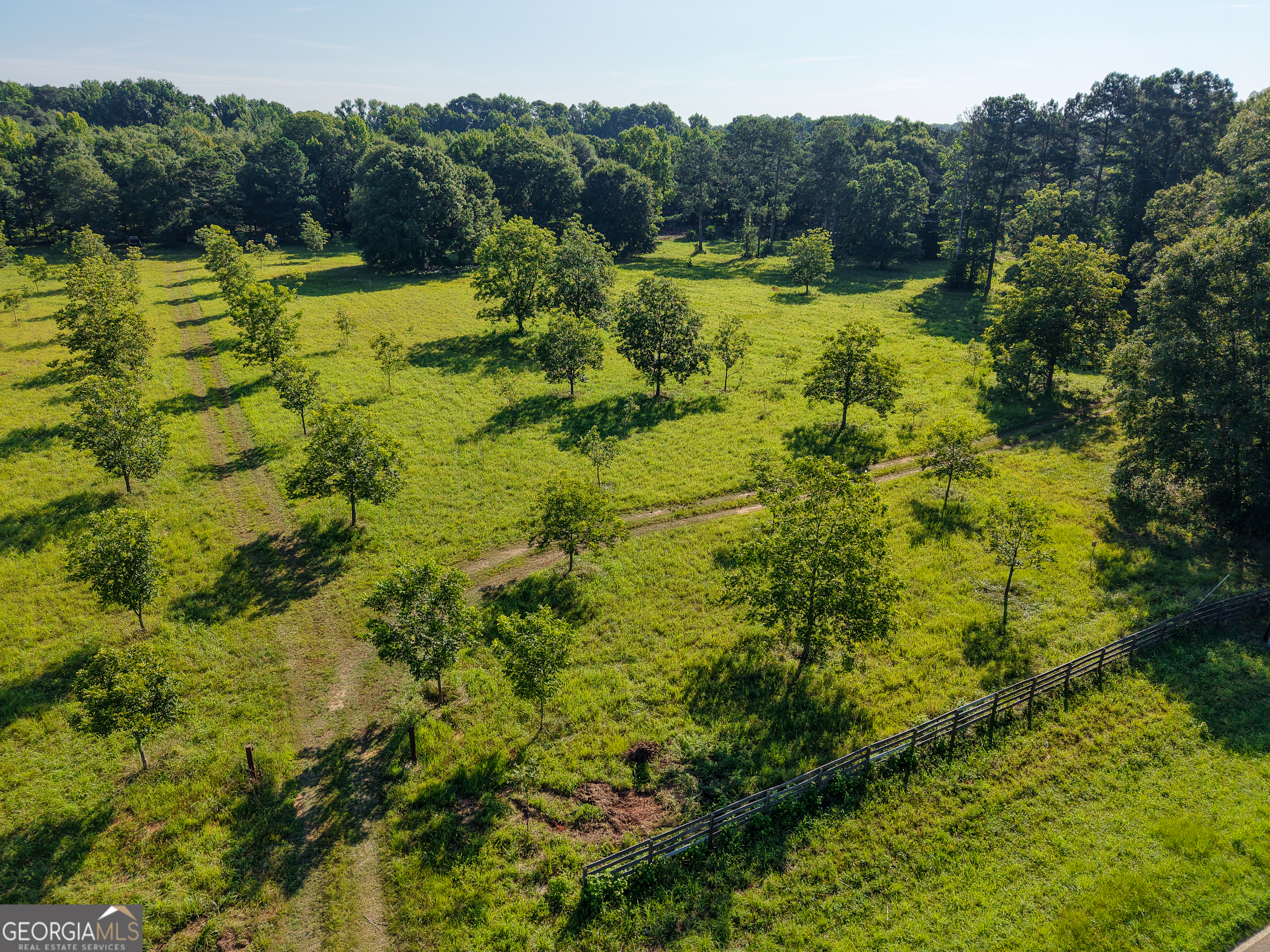 0 Hester Town Road Monroe, GA 30655 - Photo 14 of 45