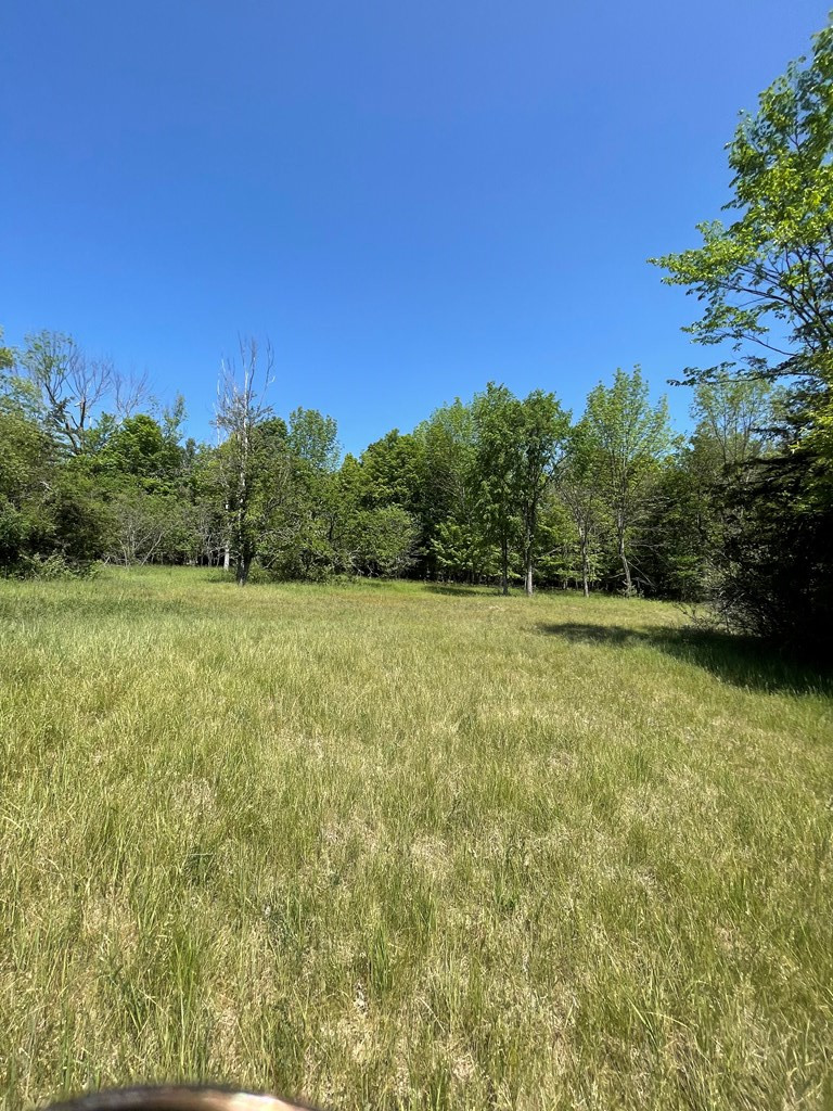 Tbd Stickney Bridge Road Jay, NY 12941 - Photo 28 of 39 Gallery Image 28