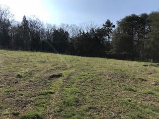 451 Piney Grove Road Somerset, KY 42501 - Photo 9 of 16 Piney Picture 7
