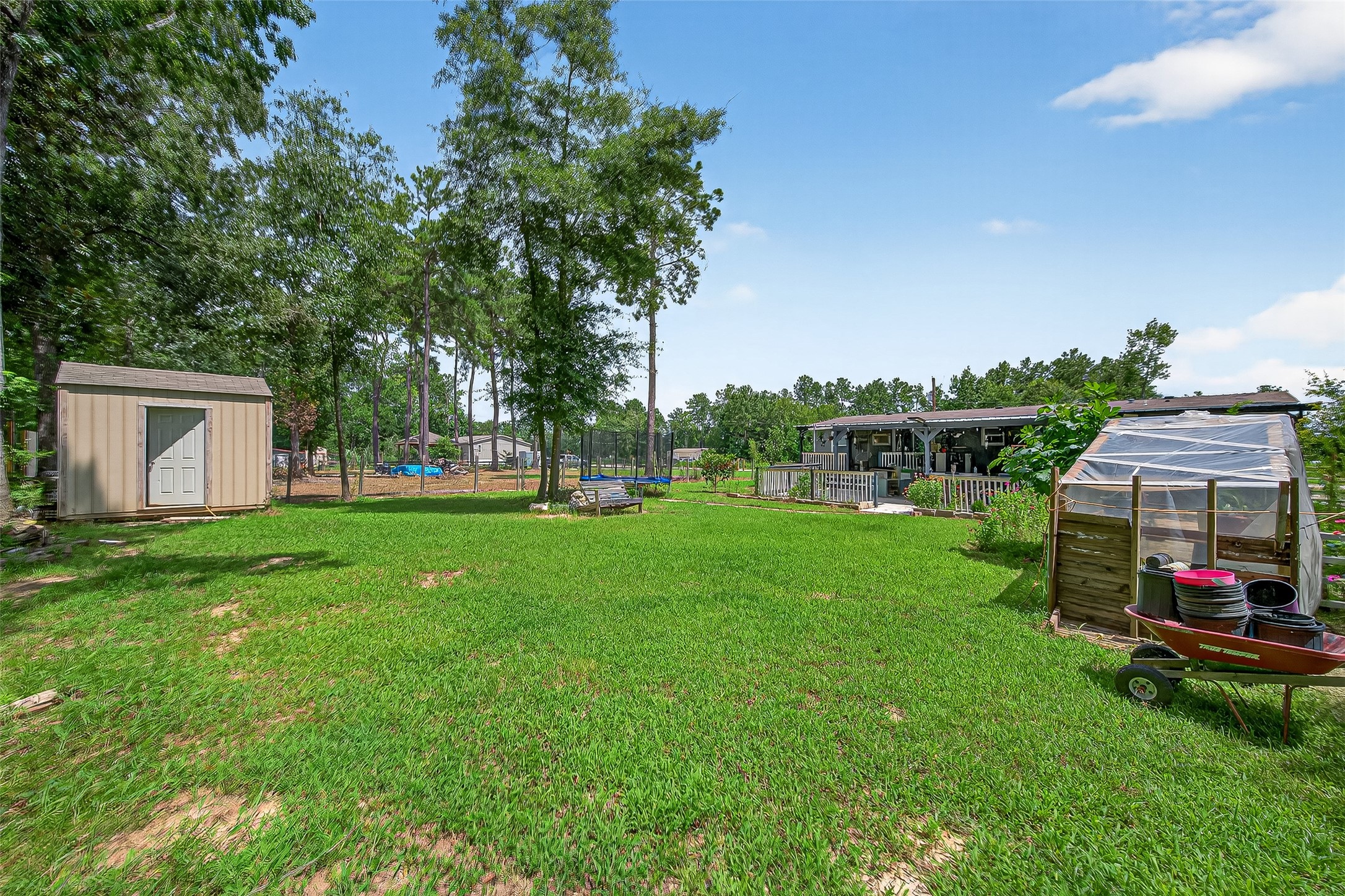 12514 County Road 3740 Cleveland, TX 77327 - Photo 22 of 31 a view of yard with grass and a trees
