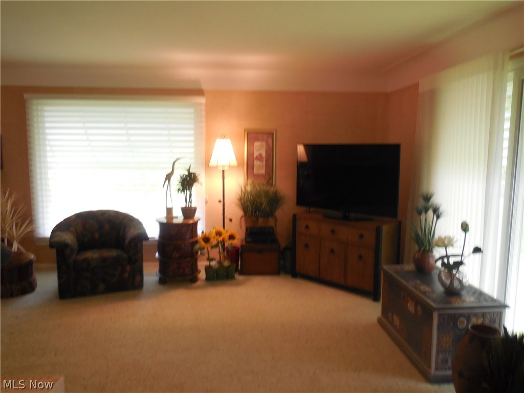 1271 Roland Road Lyndhurst, OH 44124 - Photo 4 of 27 Formal Living Room with wall to wall carpeting, window treatments, sliding doors