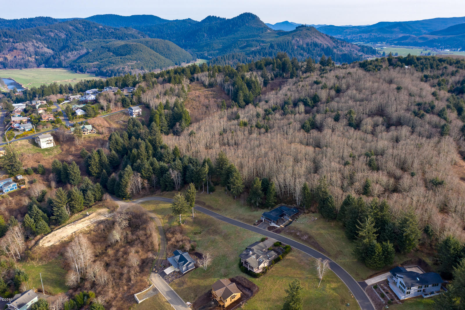 Lot 9 Brooten Mountain Road Pacific City, OR 97135 - Photo 8 of 10 Aerial 7