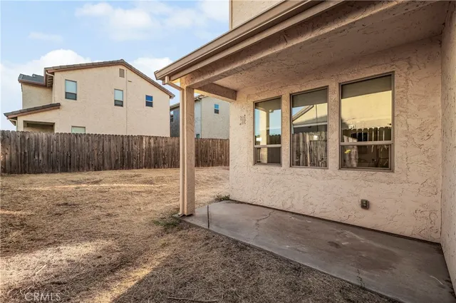 a view of backyard with large tree