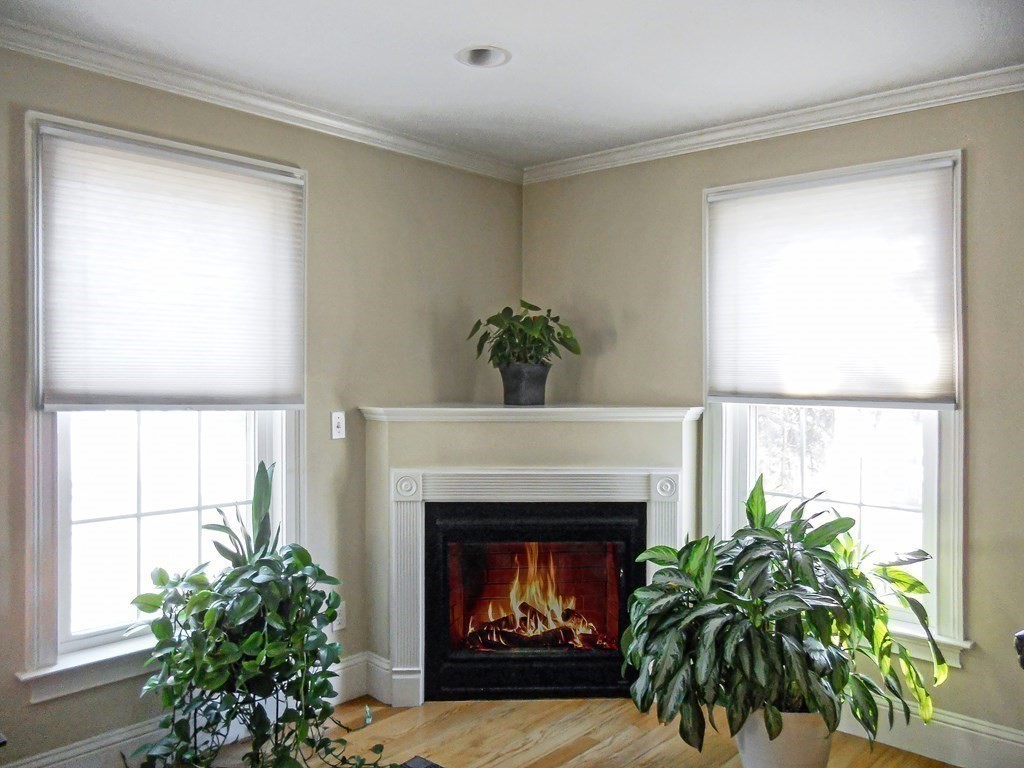 171 North Main Street, Unit 171 Natick, MA 01760 - Photo 4 of 15 a living room with a fireplace and potted plants