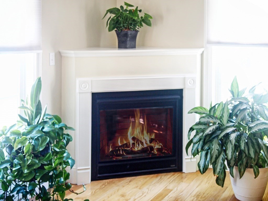 171 North Main Street, Unit 171 Natick, MA 01760 - Photo 5 of 15 a living room with a fireplace and a potted plant