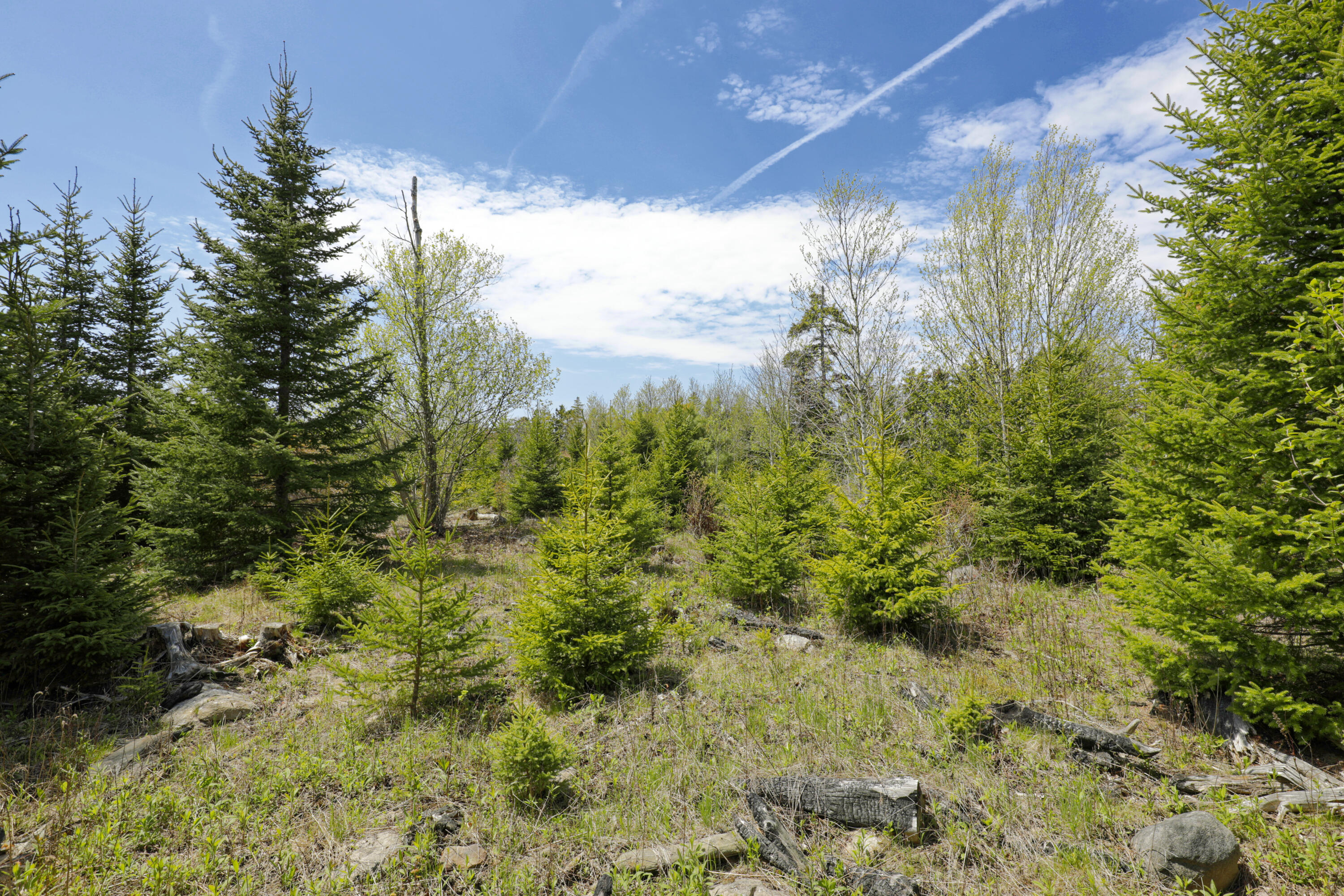 Lot 0 Clover Road New Harbor, ME 04554 - Photo 5 of 14 03-33CliffRd-lot-AT