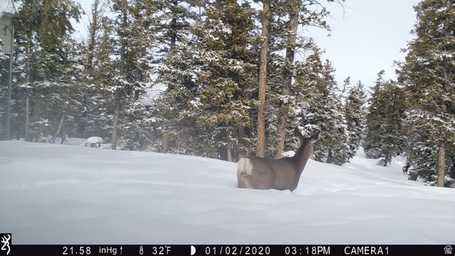 Undisclosed Address Duchesne, UT 84021 - Photo 24 of 29