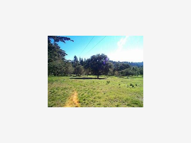 8277 Jarvis Road Santa Cruz, CA 95065 - Photo 2 of 7 Gallery Image 2