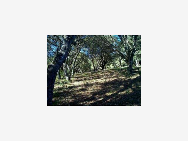 8277 Jarvis Road Santa Cruz, CA 95065 - Photo 5 of 7 Gallery Image 5
