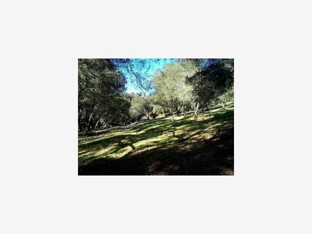8277 Jarvis Road Santa Cruz, CA 95065 - Photo 6 of 7 Gallery Image 6