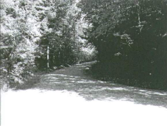 428 Mt Dearborn Road Weare, NH 03281 - Photo 1 of 1