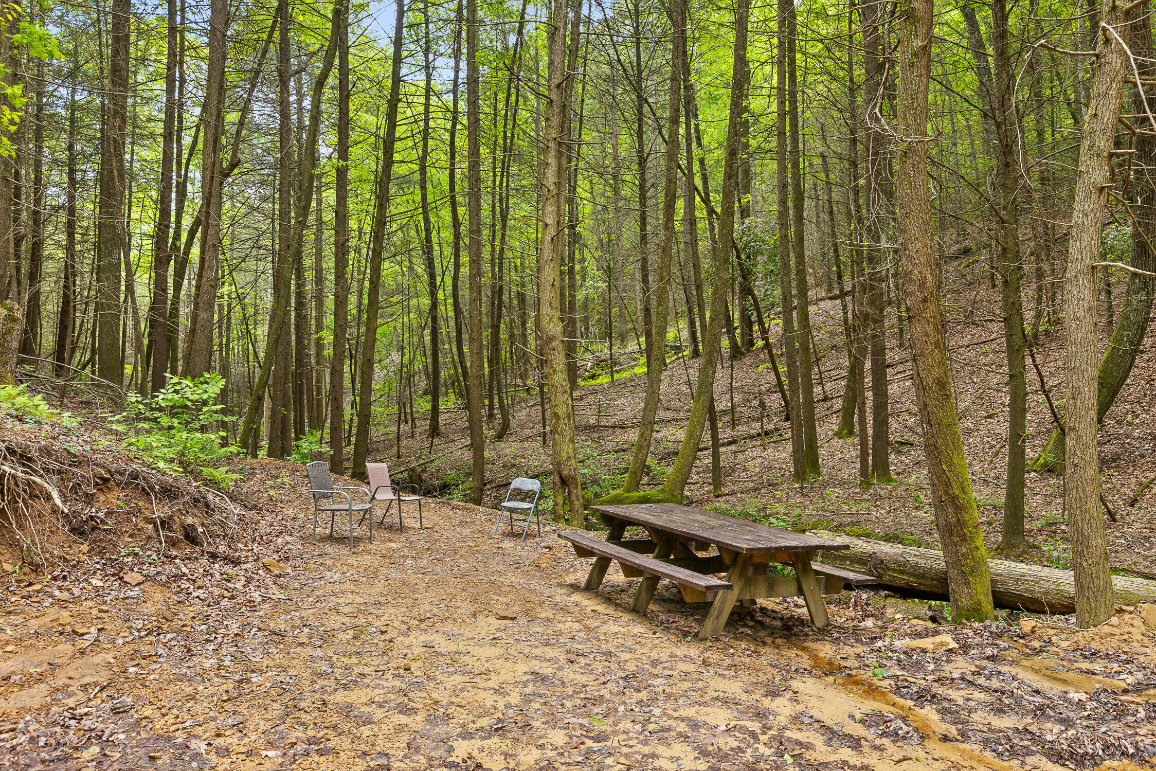 0 Dandy Road, Unit LOT 13 & 14 Signal Mountain, TN 37377 - Photo 22 of 40 13-Dandy-13