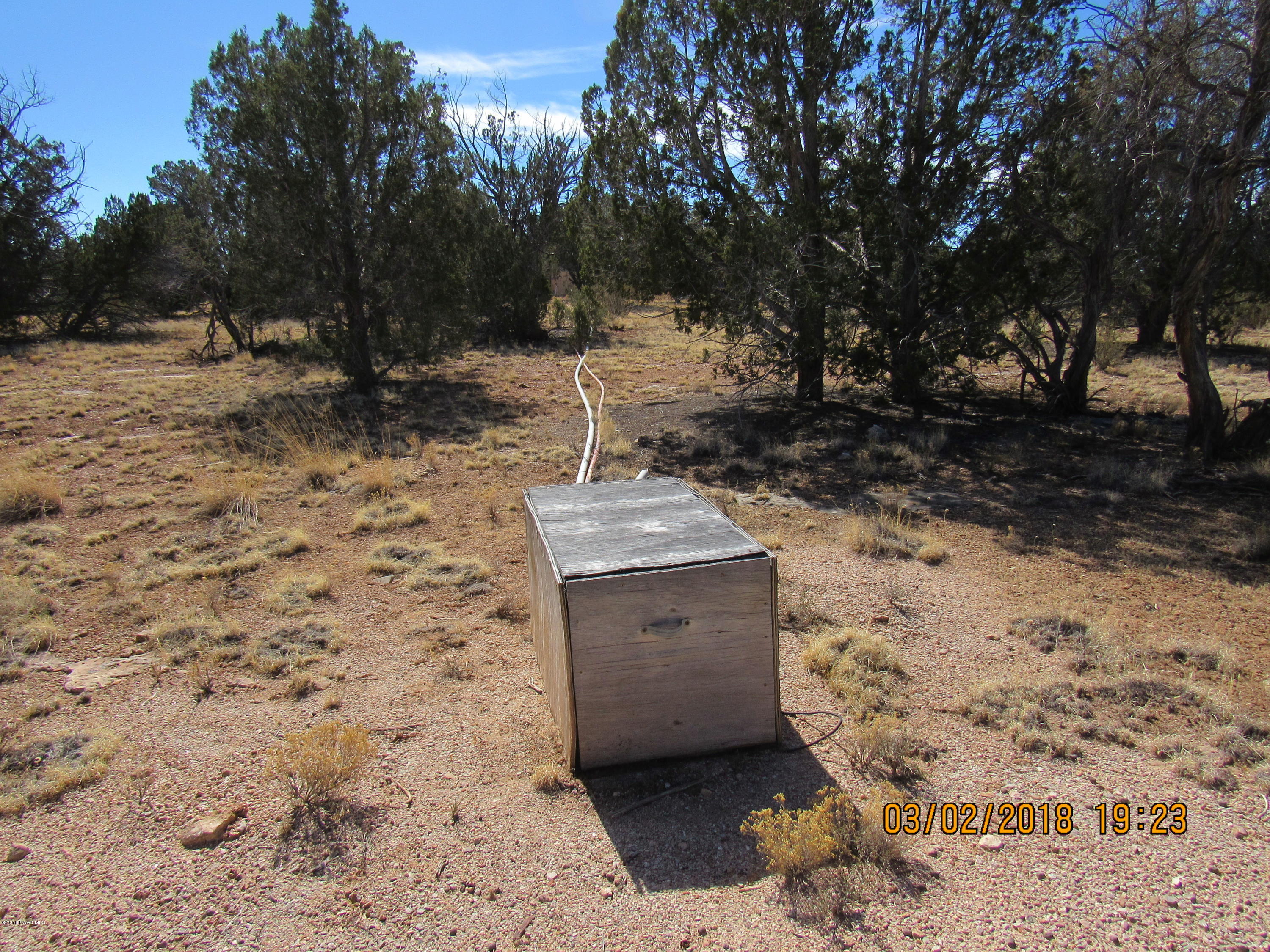 19-4 Cross Mountain Road Seligman, AZ 86337 - Photo 7 of 7 Lamb 157 acres (9)