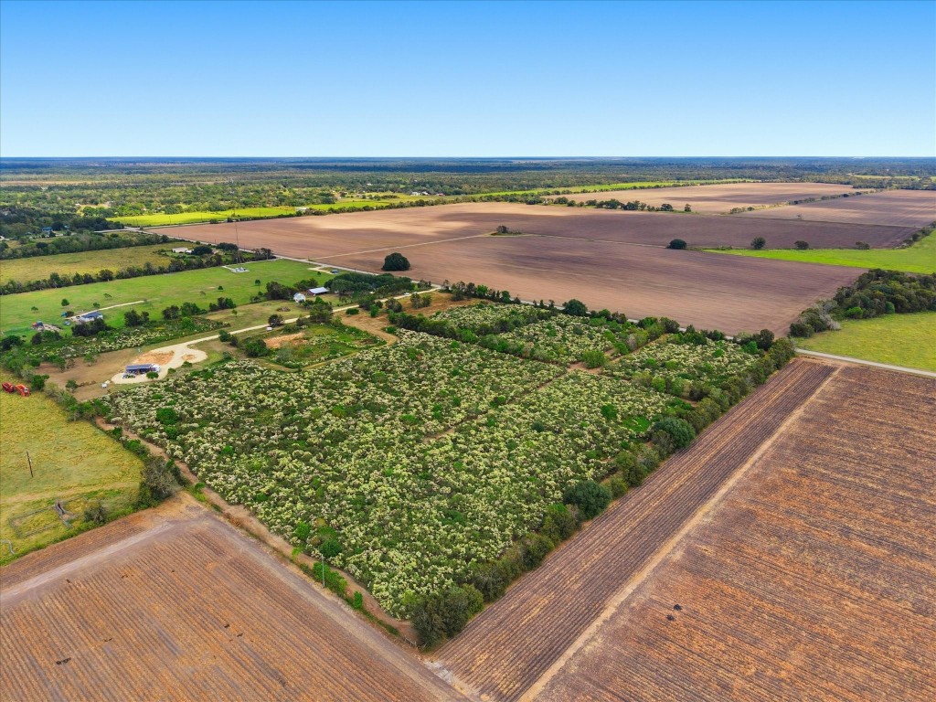 Lot 6 Cow Creek Road Damon, TX 77430 - Photo 7 of 13 a view of an ocean and beach